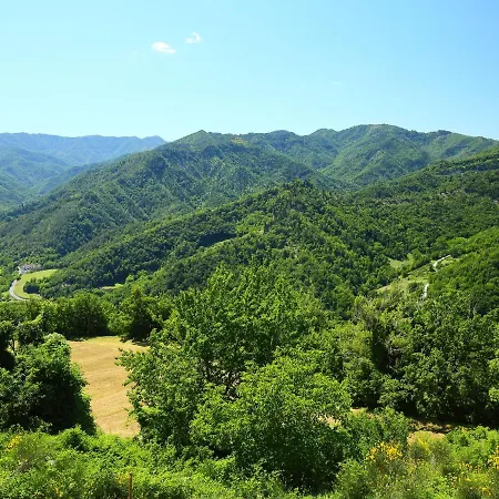 Locazione Turistica Azienda Agricola Piano Rosso-4 Marradi
